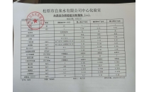 水質(zhì)全分析檢驗(yàn)分析報告
